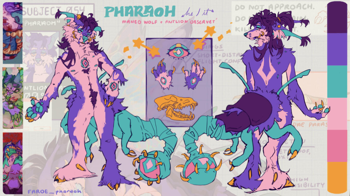 fullbody + fullbody + feature box